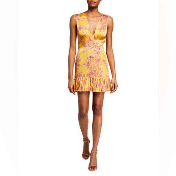 ALEXIS Cassara Floral Mini Dress - Picture 5 of 15